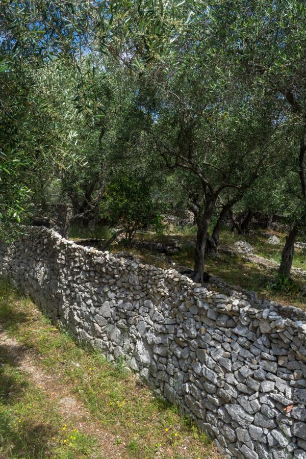 Villa Elaia Suites & Apartments No.3 Gaios Eksteriør bilde